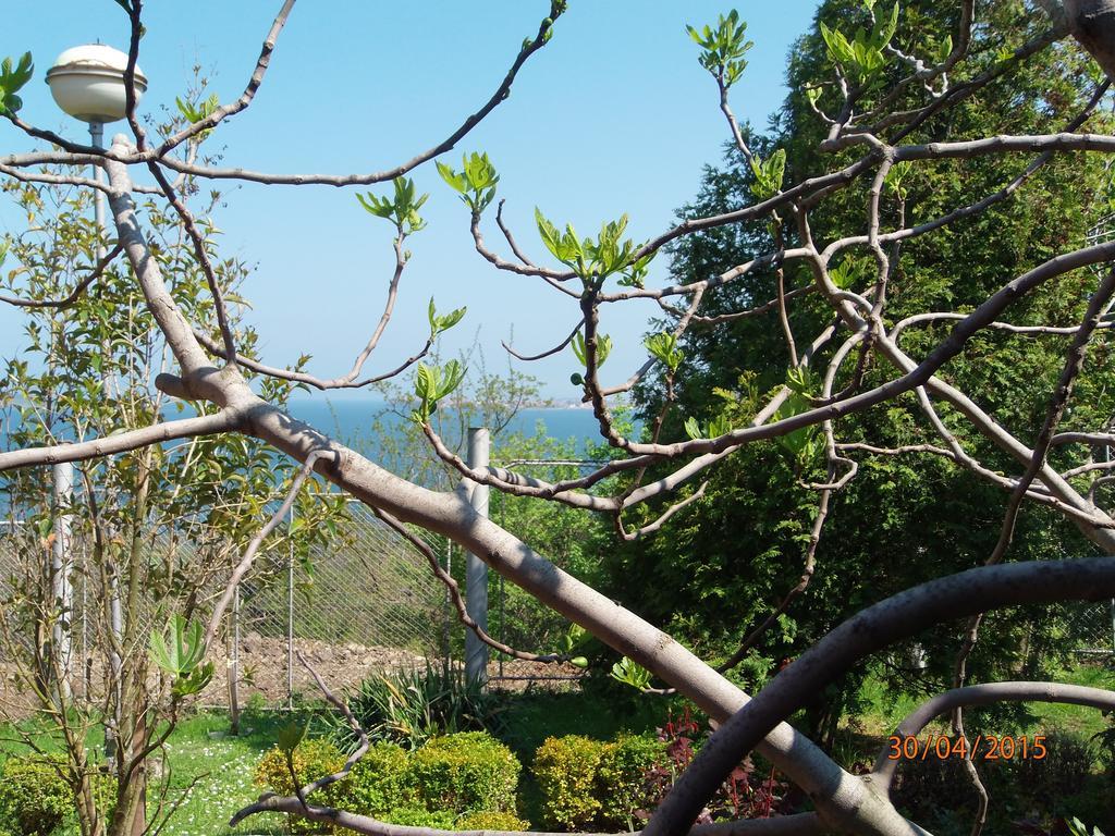 Villas And Bungalows Panorama Chernomorets Buitenkant foto